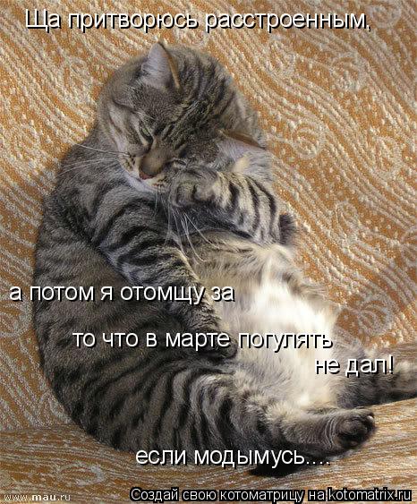 Ща притворюсь расстроенным, а потом я отомщу за то что в марте погулять не дал! если модымусь....... Котоматрица: Ща притворюсь расстроенным, а потом я отомщу за то что в марте погулять не дал! если модымусь....