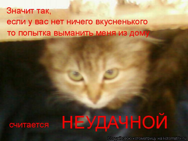 Значит так, если у вас нет ничего вкусненького то попытка выманить меня из дому считается НЕУДАЧНОЙ... Котоматрица: Значит так, если у вас нет ничего вкусненького то попытка выманить меня из дому считается НЕУДАЧНОЙ