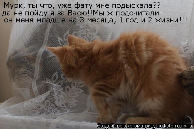 Мурк, ты что, уже фату мне подыскала?? да не пойду я за Васю!!Мы ж подсчитали- он меня младше на 3 м... Котоматрица: Мурк, ты что, уже фату мне подыскала?? да не пойду я за Васю!!Мы ж подсчитали- он меня младше на 3 месяца, 1 год и 2 жизни!!!