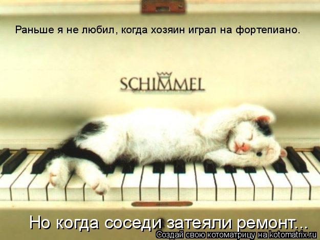 Раньше я не любил, когда хозяин играл на фортепиано. Но когда соседи затеяли ремонт...... Котоматрица: Раньше я не любил, когда хозяин играл на фортепиано. Но когда соседи затеяли ремонт...