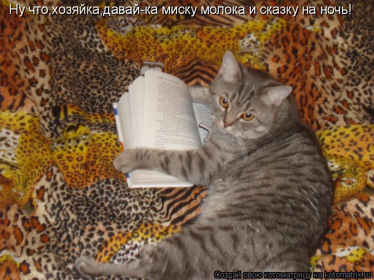 Ну что,хозяйка,давай-ка миску молока и сказку на ночь!... Котоматрица: Ну что,хозяйка,давай-ка миску молока и сказку на ночь!