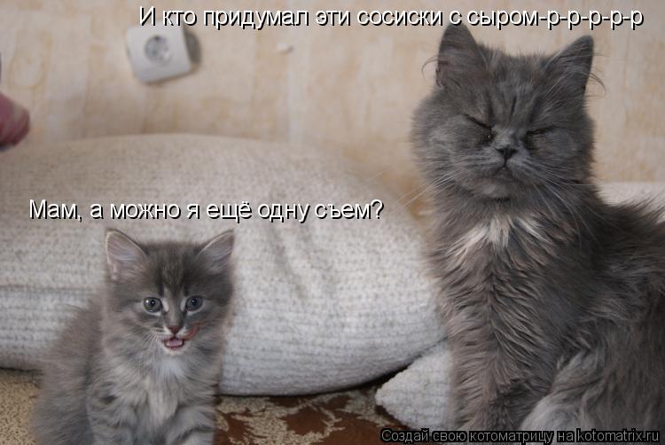 И кто придумал эти сосиски с сыром-р-р-р-р-р Мам, а можно я ещё одну съем?... Котоматрица: И кто придумал эти сосиски с сыром-р-р-р-р-р Мам, а можно я ещё одну съем?