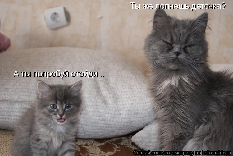 Ты же лопнешь деточка? А ты попробуй отойди...... Котоматрица: Ты же лопнешь деточка? А ты попробуй отойди...