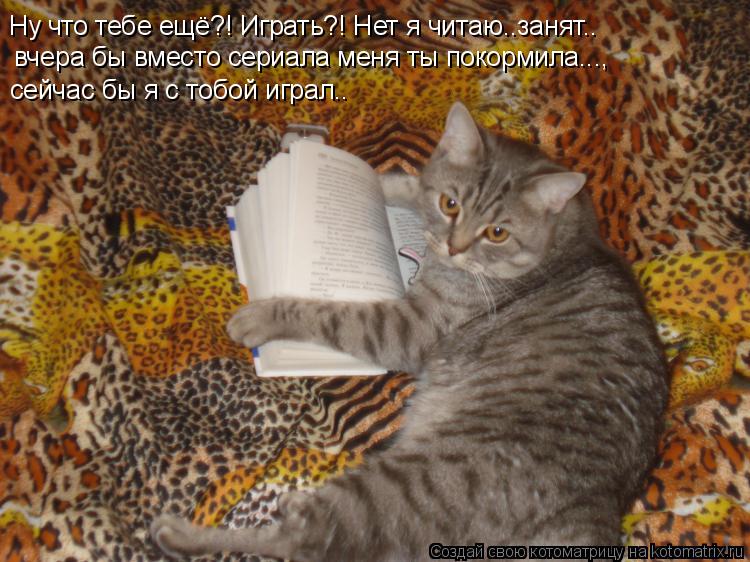 вчера бы вместо сериала меня ты покормила..., Ну что тебе ещё?! Играть?! Нет я читаю..занят.. сейчас ... Котоматрица: вчера бы вместо сериала меня ты покормила..., Ну что тебе ещё?! Играть?! Нет я читаю..занят.. сейчас бы я с тобой играл..