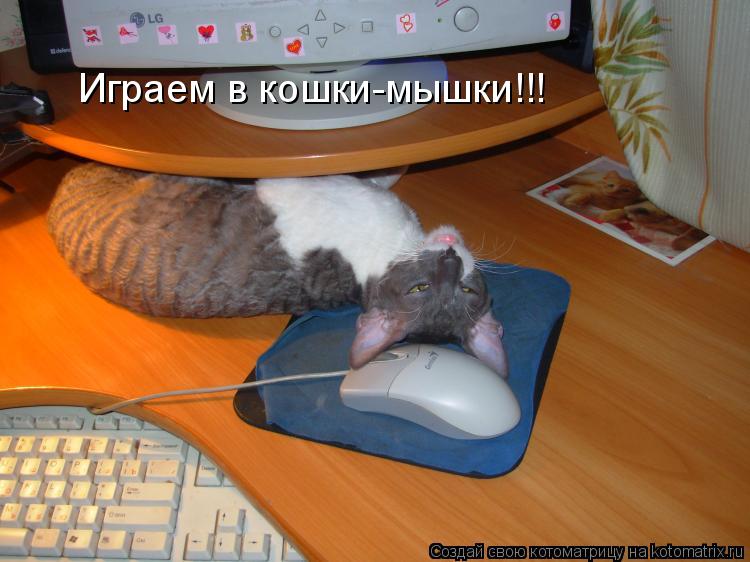 Играем в кошки-мышки!!!... Котоматрица: Играем в кошки-мышки!!!