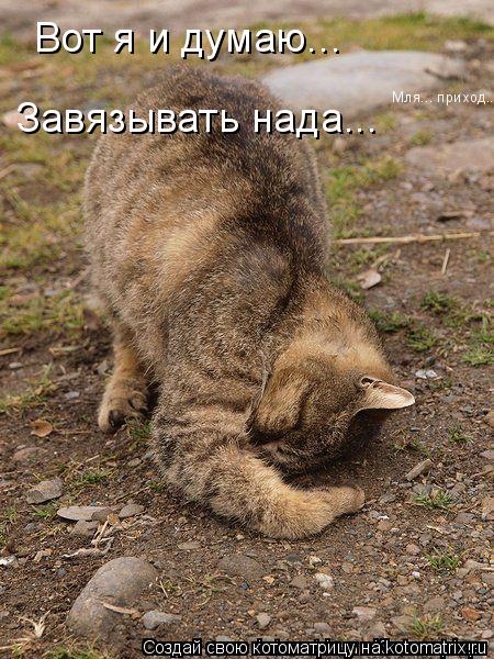 Вот я и думаю... Завязывать нада...... Котоматрица: Вот я и думаю... Завязывать нада...