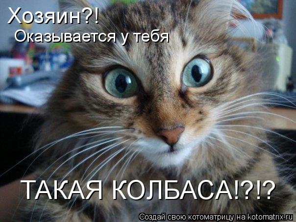 Хозяин?! Оказывается у тебя ТАКАЯ КОЛБАСА!?!?... Котоматрица: Хозяин?! Оказывается у тебя ТАКАЯ КОЛБАСА!?!?