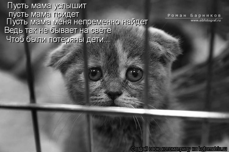 Пусть мама услышит пусть мама придет Пусть мама меня непременно найдет Ведь так не бывает на свете ... Котоматрица: Пусть мама услышит пусть мама придет Пусть мама меня непременно найдет Ведь так не бывает на свете Чтоб были потеряны дети...