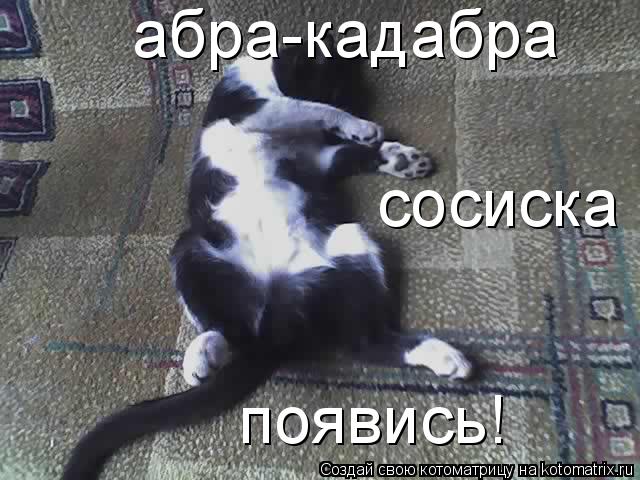 абра-кадабра сосиска появись!... Котоматрица: абра-кадабра сосиска появись!