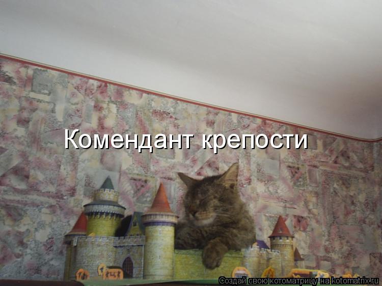 Комендант крепости... Котоматрица: Комендант крепости