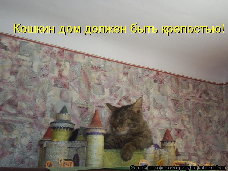 Кошкин дом должен быть крепостью!... Котоматрица: Кошкин дом должен быть крепостью!