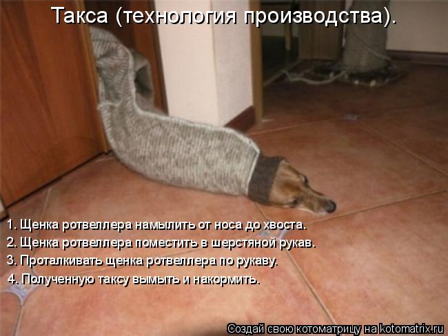 Такса (технология производства). 1. Щенка ротвеллера намылить от носа до хвоста. 2. Щенка ротвеллера ... Котоматрица: Такса (технология производства). 1. Щенка ротвеллера намылить от носа до хвоста. 2. Щенка ротвеллера поместить в шерстяной рукав. 3. Проталкив