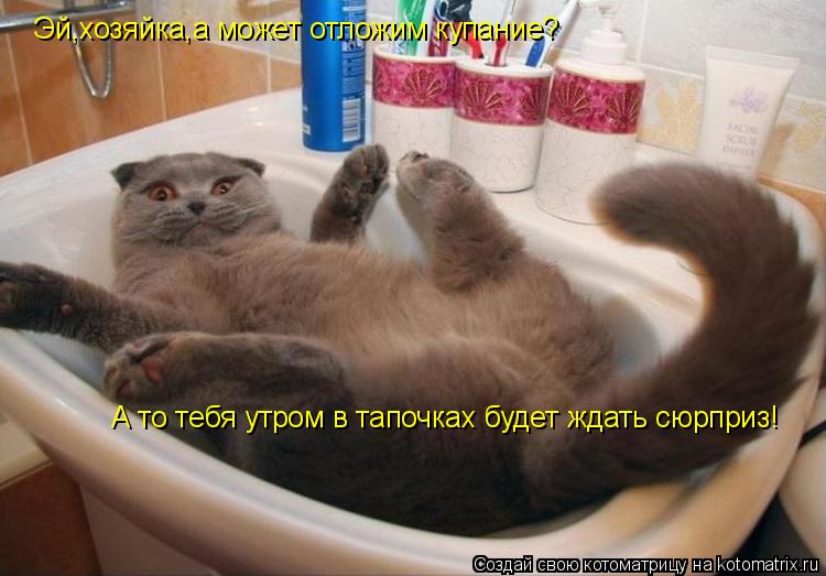 Эй,хозяйка,а может отложим купание? А то тебя утром в тапочках будет ждать сюрприз!... Котоматрица: Эй,хозяйка,а может отложим купание? А то тебя утром в тапочках будет ждать сюрприз!