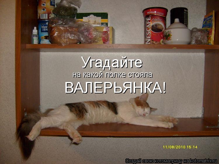 Угадайте на какой полке стояла ВАЛЕРЬЯНКА!... Котоматрица: Угадайте на какой полке стояла ВАЛЕРЬЯНКА!