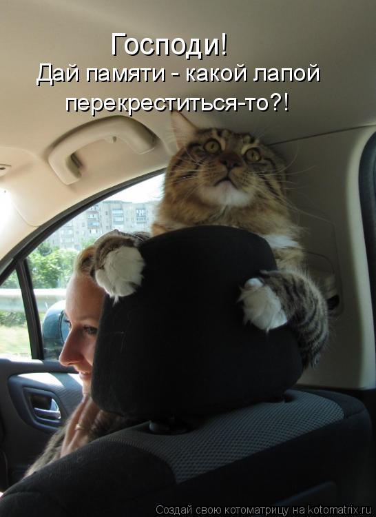 Господи! Дай памяти - какой лапой перекреститься-то?!... Котоматрица: Господи! Дай памяти - какой лапой перекреститься-то?!