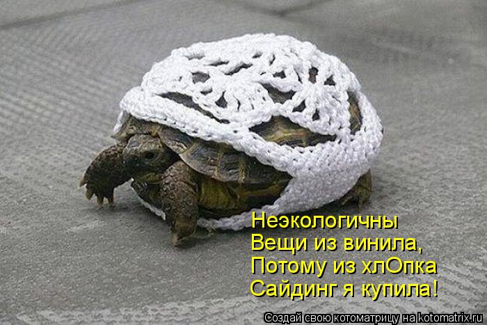 Неэкологичны Вещи из винила, Потому из хлОпка Сайдинг я купила!... Котоматрица: Неэкологичны Вещи из винила, Потому из хлОпка Сайдинг я купила!