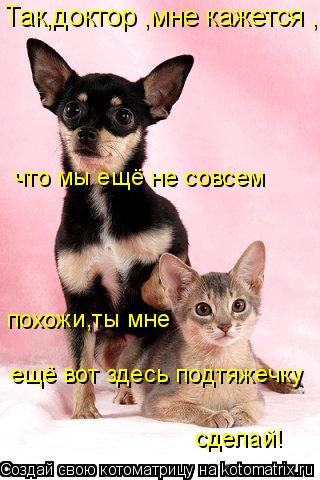 Так,доктор ,мне кажется , что мы ещё не совсем похожи,ты мне ещё вот здесь подтяжечку сделай!... Котоматрица: Так,доктор ,мне кажется , что мы ещё не совсем похожи,ты мне ещё вот здесь подтяжечку сделай!