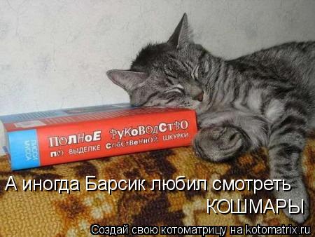 А иногда Барсик любил смотреть КОШМАРЫ... Котоматрица: А иногда Барсик любил смотреть КОШМАРЫ