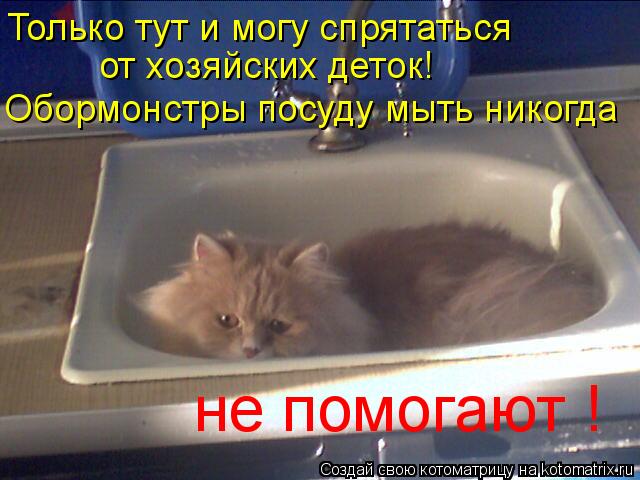 Только тут и могу спрятаться от хозяйских деток! Обормонстры посуду мыть никогда не помогают !... Котоматрица: Только тут и могу спрятаться от хозяйских деток! Обормонстры посуду мыть никогда не помогают !