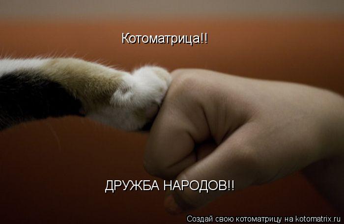 Котоматрица!! ДРУЖБА НАРОДОВ!!... Котоматрица: Котоматрица!! ДРУЖБА НАРОДОВ!!