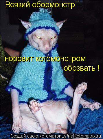 Всякий обормонстр норовит котомонстром обозвать !... Котоматрица: Всякий обормонстр норовит котомонстром обозвать !