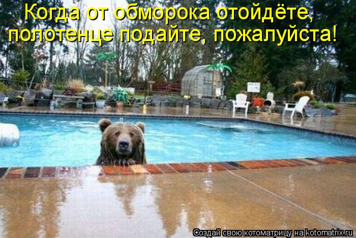 Когда от обморока отойдёте, полотенце подайте, пожалуйста!... Котоматрица: Когда от обморока отойдёте, полотенце подайте, пожалуйста!