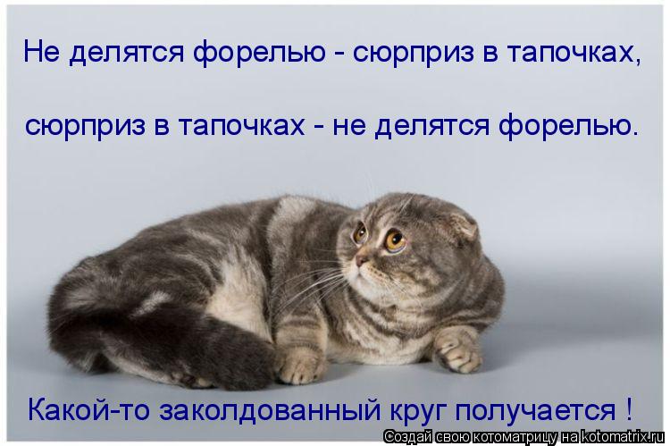 Котоматрица: сюрприз в тапочках - не делятся форелью. Не делятся форелью - сюрприз в тапочках, Какой-то заколдованный круг получается !