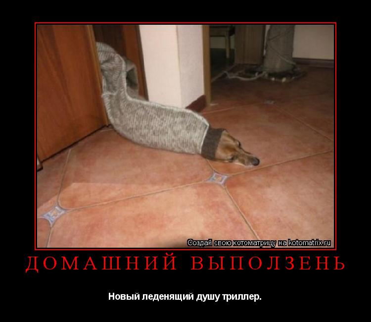 ДОМАШНИЙ ВЫПОЛЗЕНЬ Новый леденящий душу триллер.... Котоматрица: ДОМАШНИЙ ВЫПОЛЗЕНЬ Новый леденящий душу триллер.