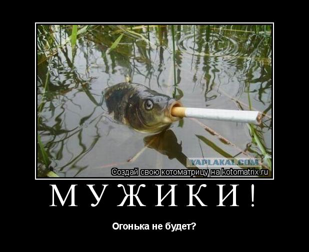 МУЖИКИ! Огонька не будет?... Котоматрица: МУЖИКИ! Огонька не будет?