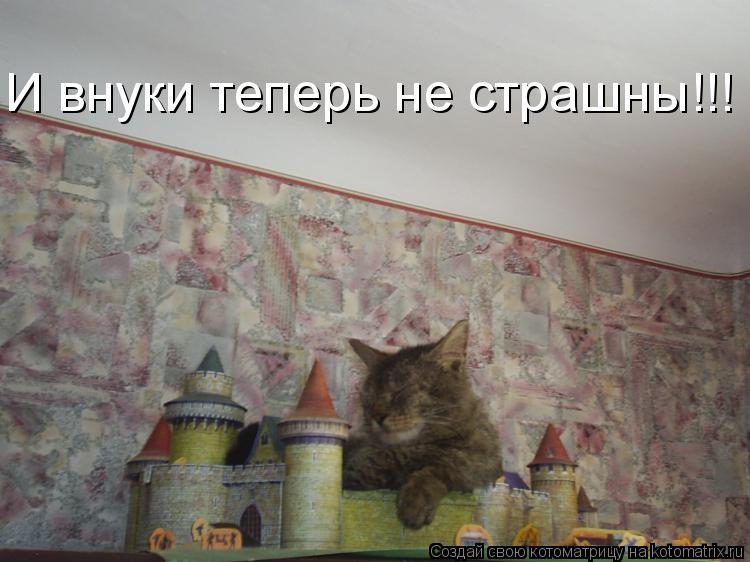 И внуки теперь не страшны!!!... Котоматрица: И внуки теперь не страшны!!!