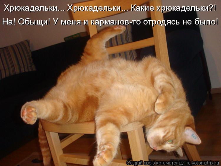 Хрюкадельки... Хрюкадельки... Какие хрюкадельки?! На! Обыщи! У меня и карманов-то отродясь не было!... Котоматрица: Хрюкадельки... Хрюкадельки... Какие хрюкадельки?! На! Обыщи! У меня и карманов-то отродясь не было!