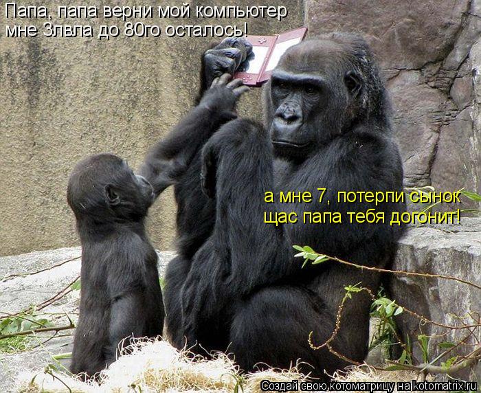 Котоматрица: мне 3лвла до 80го осталось! а мне 7, потерпи сынок Папа, папа верни мой компьютер щас папа тебя догонит!