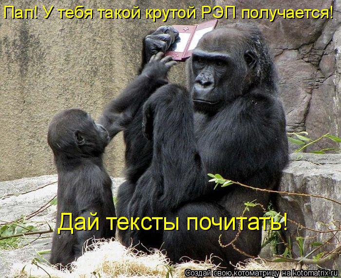 Котоматрица: Пап! У тебя такой крутой РЭП получается! Дай тексты почитать!