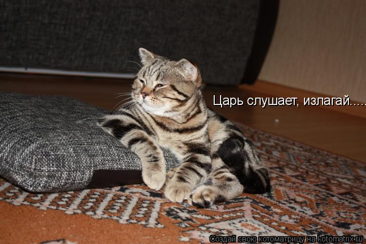 Котоматрица: Царь слушает, излагай......