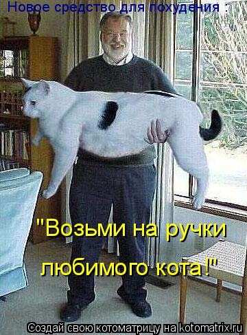 Котоматрица: Новое средство для похудения : "Возьми на ручки любимого кота!"