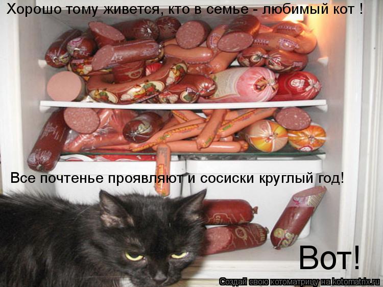 Котоматрица: Хорошо тому живется, кто в семье - любимый кот ! Все почтенье проявляют и сосиски круглый год! Вот!