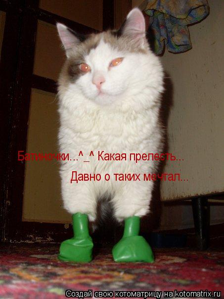 Котоматрица: Батиночки...^_^ Какая прелесть... Давно о таких мечтал...