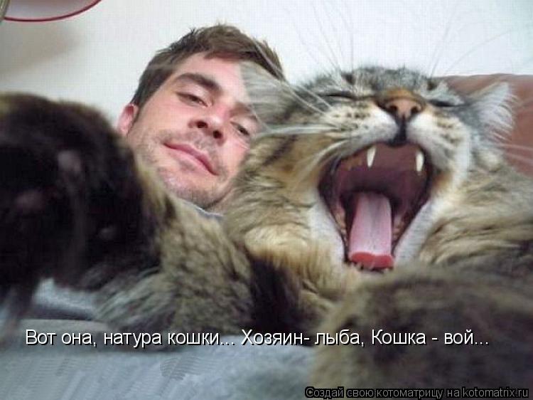 Котоматрица: Вот она, натура кошки... Хозяин- лыба, Кошка - вой...