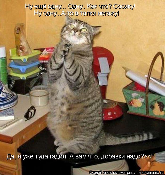 Ну ещё одну... Одну.. Как что? Сосику! Ну одну...А то в тапки негажу! Да, я уже туда гадил! А вам чт... Котоматрица: Ну ещё одну... Одну.. Как что? Сосику! Ну одну...А то в тапки негажу! Да, я уже туда гадил! А вам что, добавки надо?><"
