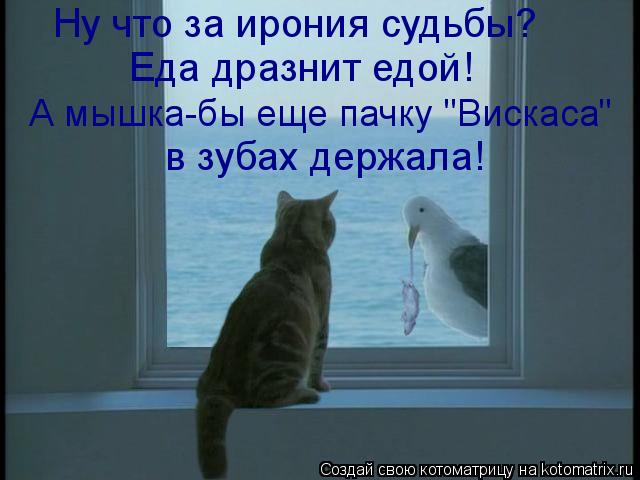 Ну что за ирония судьбы? Еда дразнит едой! А мышка-бы еще пачку "Вискаса" в зубах держала!... Котоматрица: Ну что за ирония судьбы? Еда дразнит едой! А мышка-бы еще пачку "Вискаса" в зубах держала!