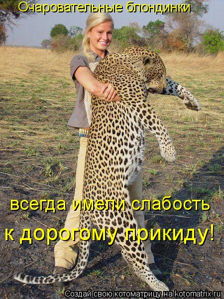 Очаровательные блондинки всегда имели слабость к дорогому прикиду!... Котоматрица: Очаровательные блондинки всегда имели слабость к дорогому прикиду!