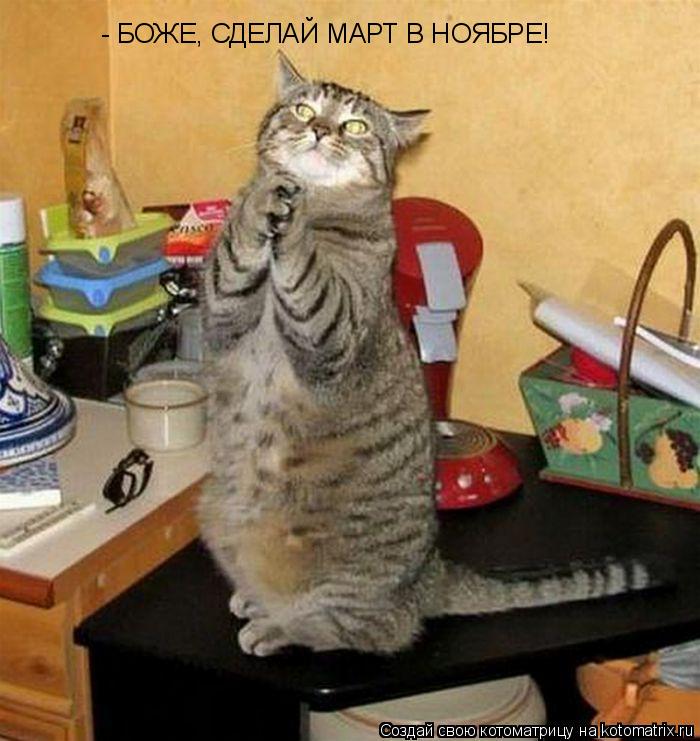 - БОЖЕ, СДЕЛАЙ МАРТ В НОЯБРЕ!... Котоматрица: - БОЖЕ, СДЕЛАЙ МАРТ В НОЯБРЕ!