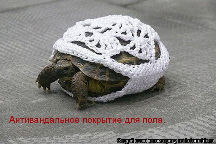 Антивандальное покрытие для пола.... Котоматрица: Антивандальное покрытие для пола.