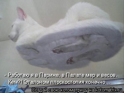 - Работаю я в Париже, в Палате мер и весов. Кем?! Эталоном плоскостопия конечно...... Котоматрица: - Работаю я в Париже, в Палате мер и весов. Кем?! Эталоном плоскостопия конечно...