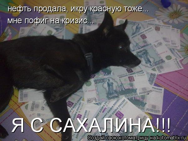 Котоматрица: нефть продала, икру красную тоже... мне пофиг на кризис... Я С САХАЛИНА!!!