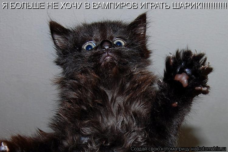 Котоматрица: Я БОЛЬШЕ НЕ ХОЧУ В ВАМПИРОВ ИГРАТЬ ШАРИК!!!!!!!!!!!!!!!