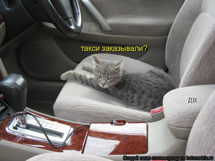 такси заказывали? да... Котоматрица: такси заказывали? да