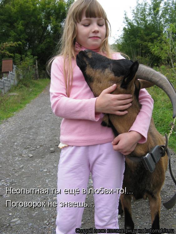 Неопытная ты ещё в любви-то!... Поговорок не знаешь...... Котоматрица: Неопытная ты ещё в любви-то!... Поговорок не знаешь...