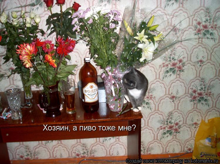 Хозяин, а пиво тоже мне?... Котоматрица: Хозяин, а пиво тоже мне?
