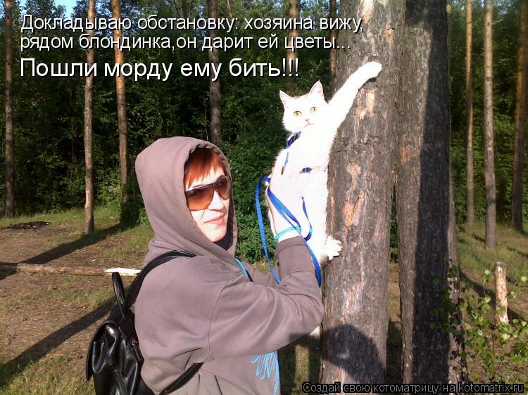 Докладываю обстановку: хозяина вижу, рядом блондинка, дарит цветы... Пошли морду ему бить!!! Докладыв... Котоматрица: Докладываю обстановку: хозяина вижу, рядом блондинка, дарит цветы... Пошли морду ему бить!!! Докладываю обстановку: хозяина вижу, рядом блонд